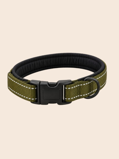 Earthly Bliss Nylon Dog Neck Collar with soft padding