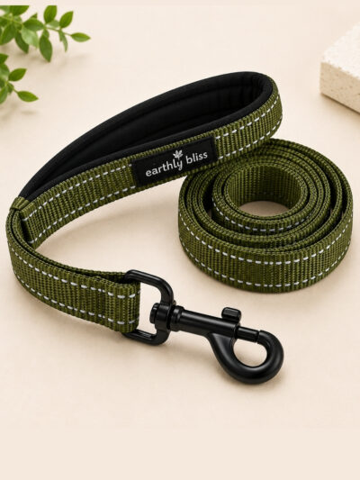 Earthly Bliss Dog Leash with Padded Handle