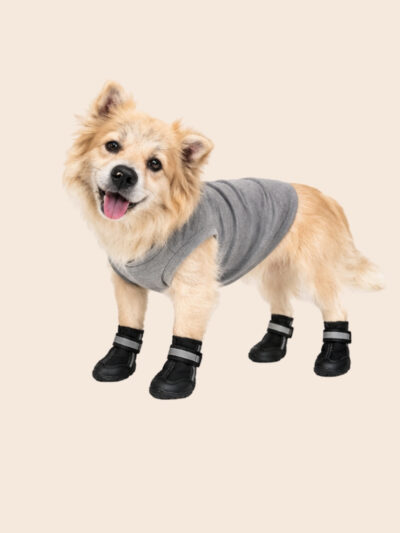 Earthly Bliss Dog Shoes