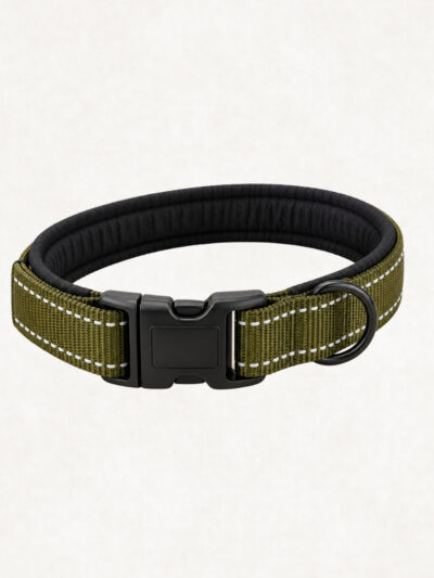 Earthly Bliss Nylon Dog Neck Collar with soft padding