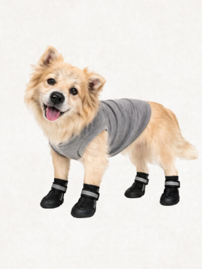 Earthly Bliss Dog Shoes