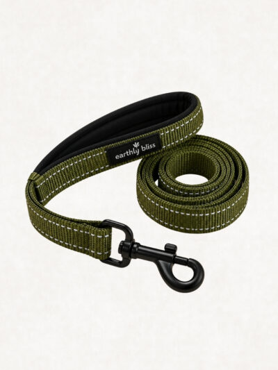 Earthly Bliss Dog Leash with Padded Handle
